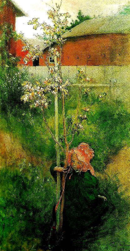 Carl Larsson kring appeltradet-appelblom France oil painting art